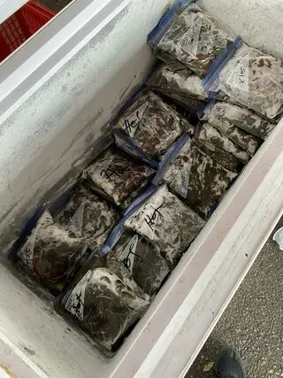 Farmer’s Market chile roasting