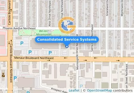 Consolidated Service Systems