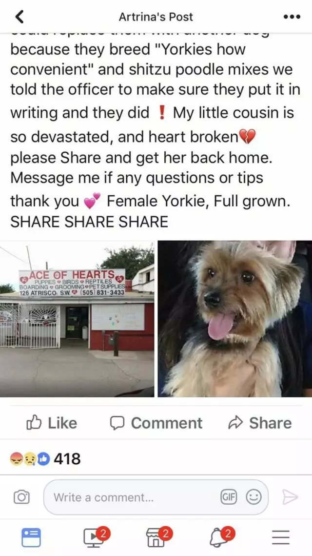 Ace of Hearts Kennel