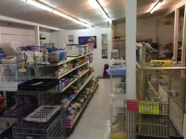Ace of Hearts Kennel