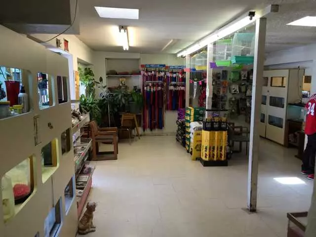Ace of Hearts Kennel