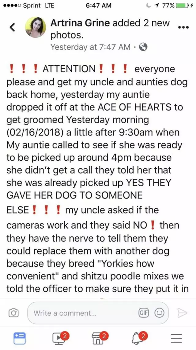 Ace of Hearts Kennel
