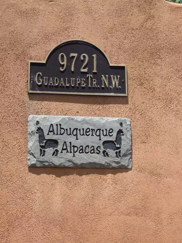 Albuquerque Alpacas