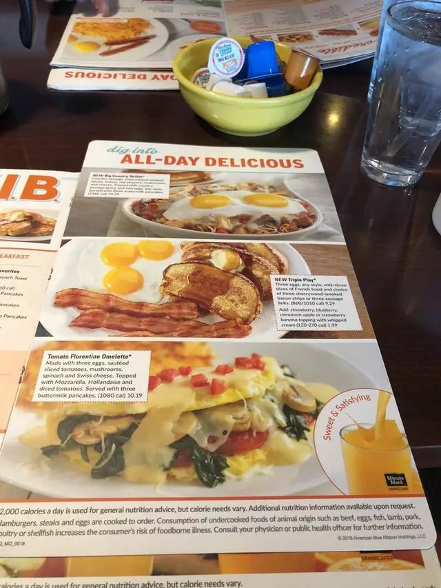 Village Inn