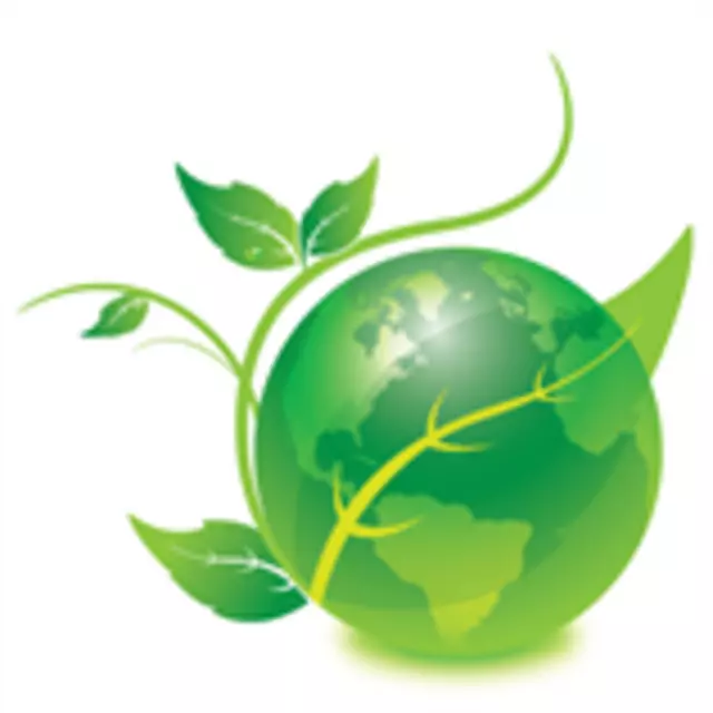 Affordable Cleaning Services