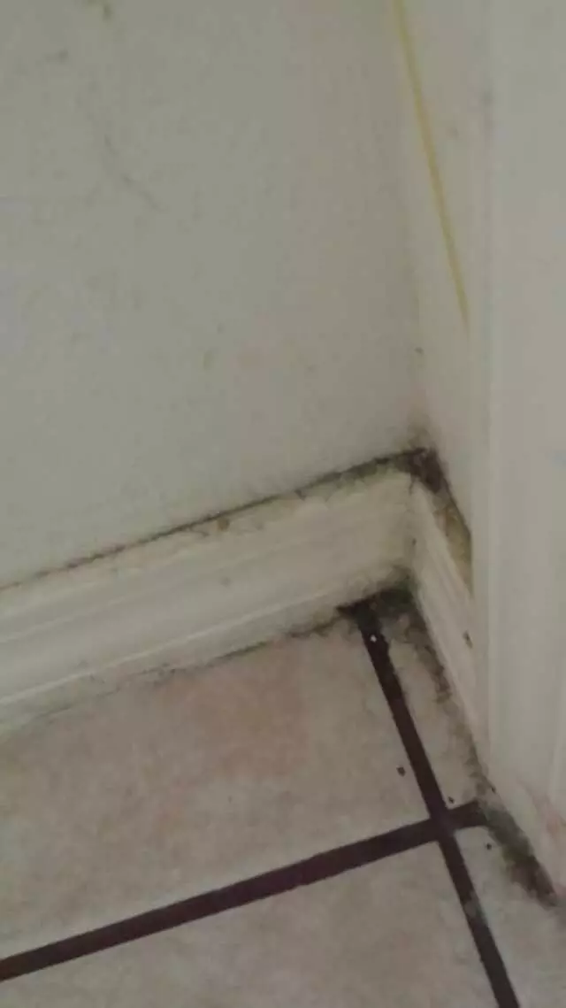 Affordable Cleaning Services