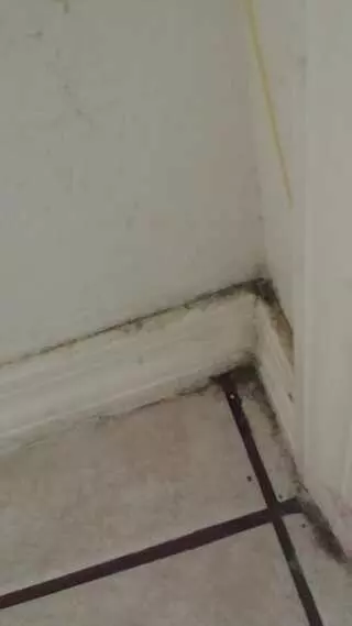 Affordable Cleaning Services