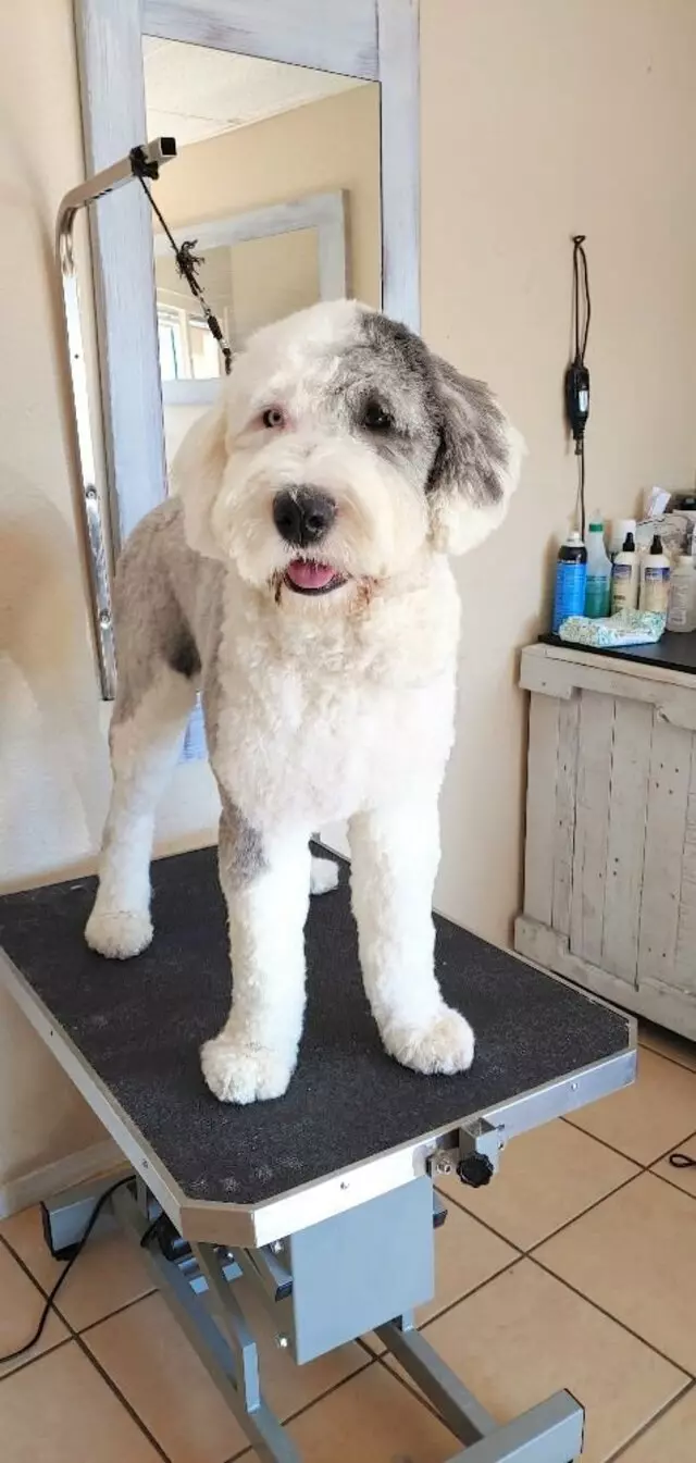 Noah&apos;s Bark Grooming Salon and Academy
