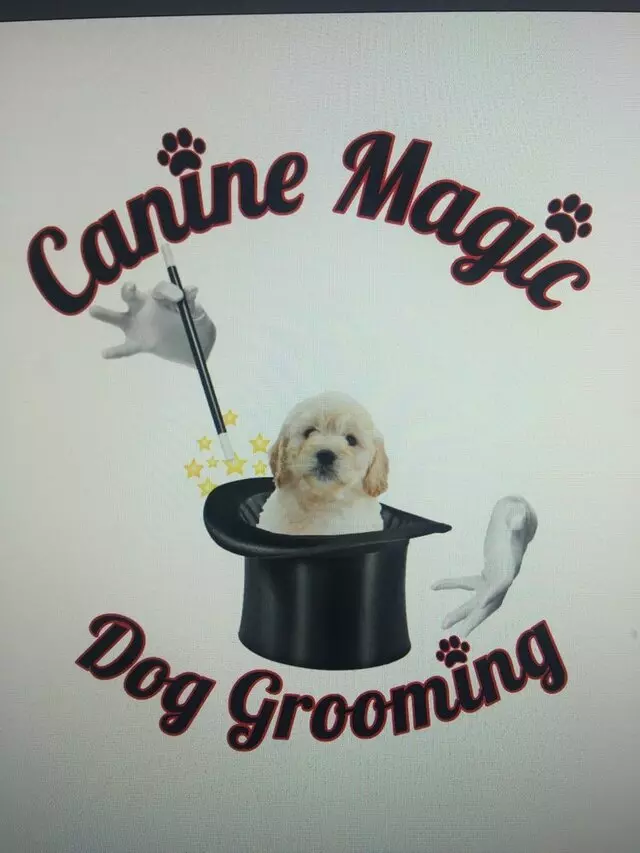 ABQ Canine Magic Grooming Salon
