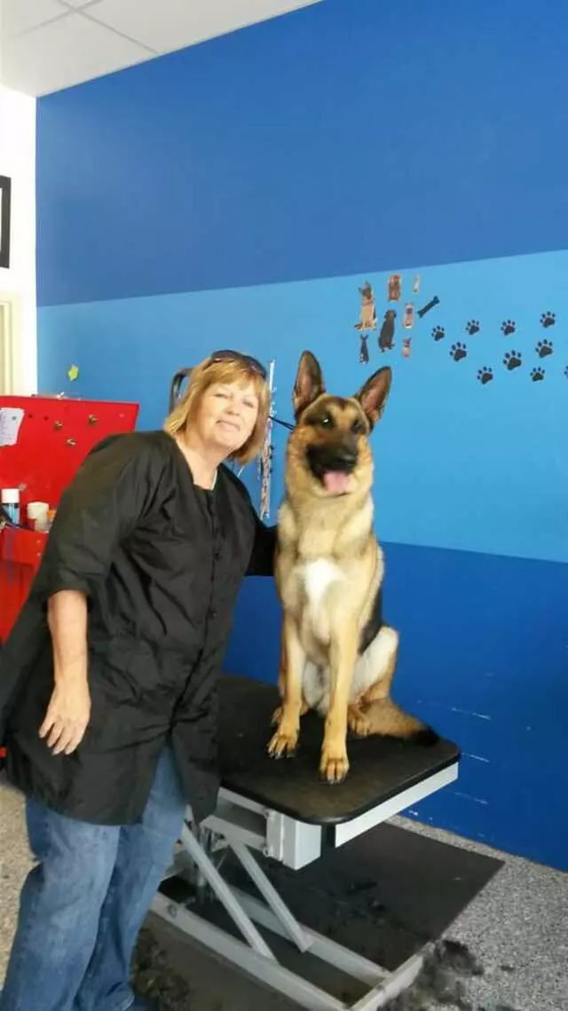 ABQ Canine Magic Grooming Salon