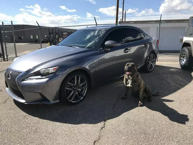 Affordable Window Tint