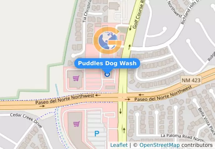 Puddles Dog Wash