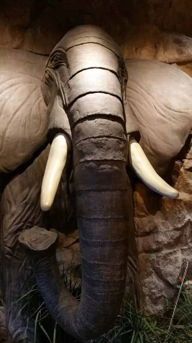 Elephant Bar Restaurant