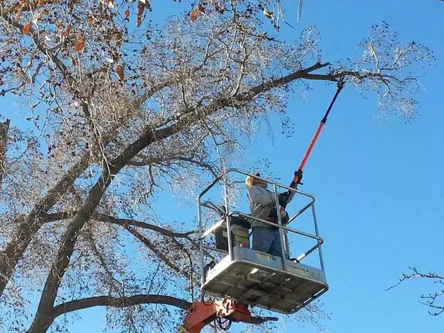 ABQ Landscaping