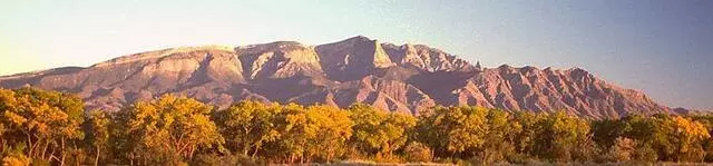 ABQ Landscaping