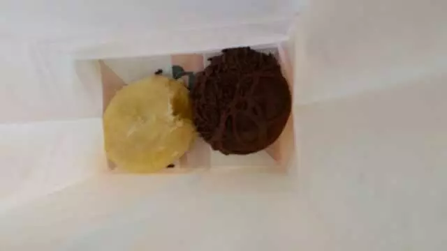 Rebel Donut