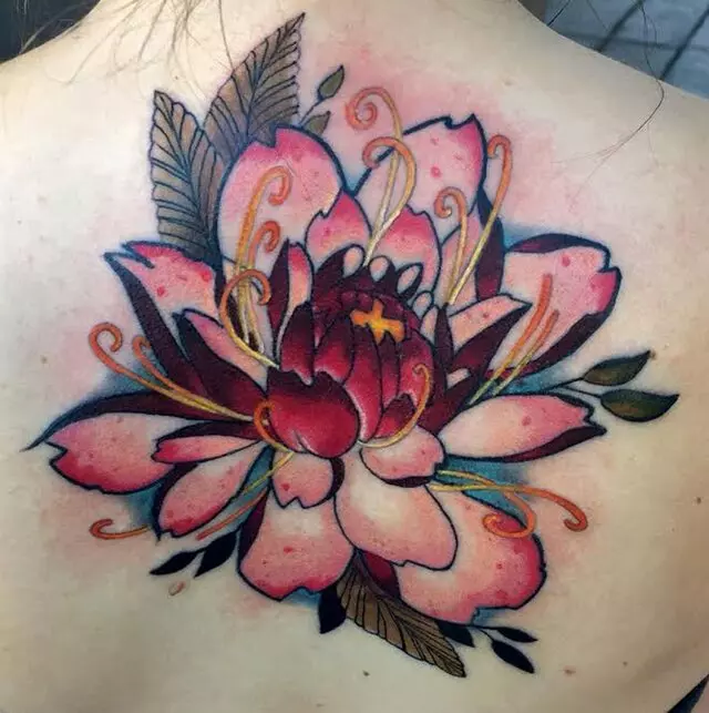 Ascension Body Modification