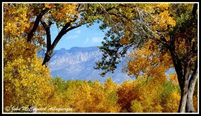 Albuquerque Homes Realty