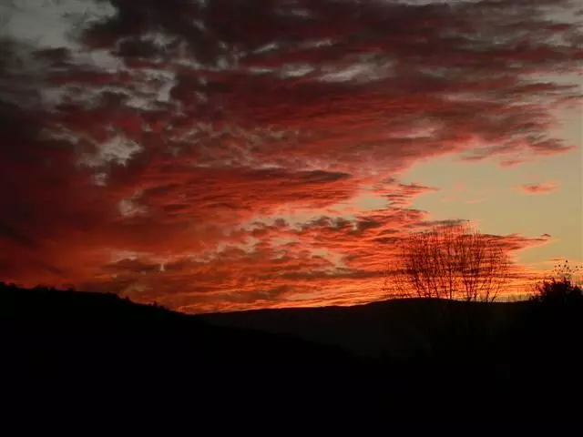 Albuquerque Homes Realty