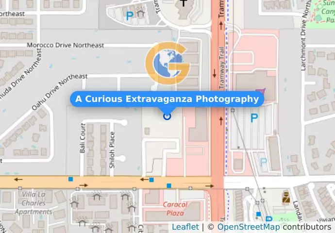 A Curious Extravaganza Photography