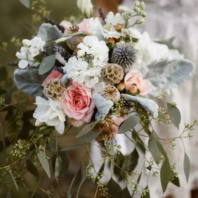 Aspire Floral