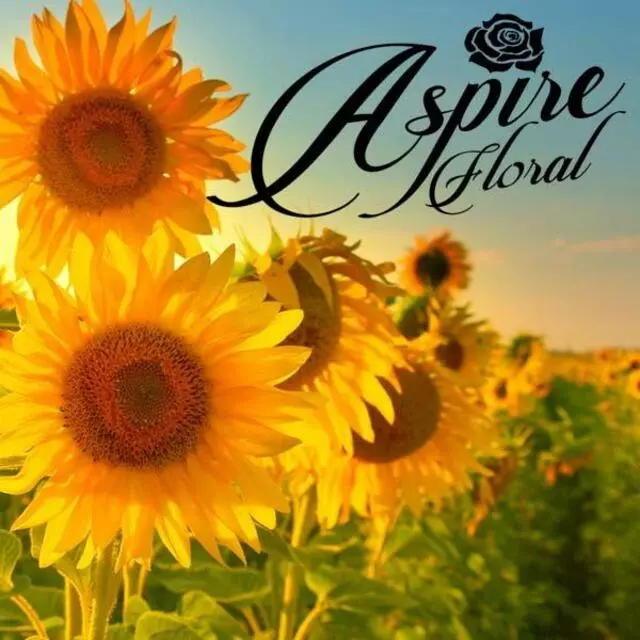 Aspire Floral