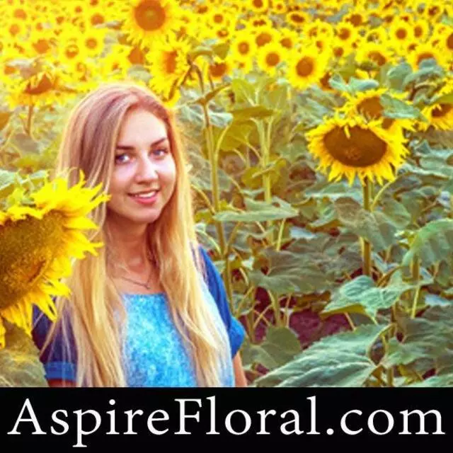 Aspire Floral