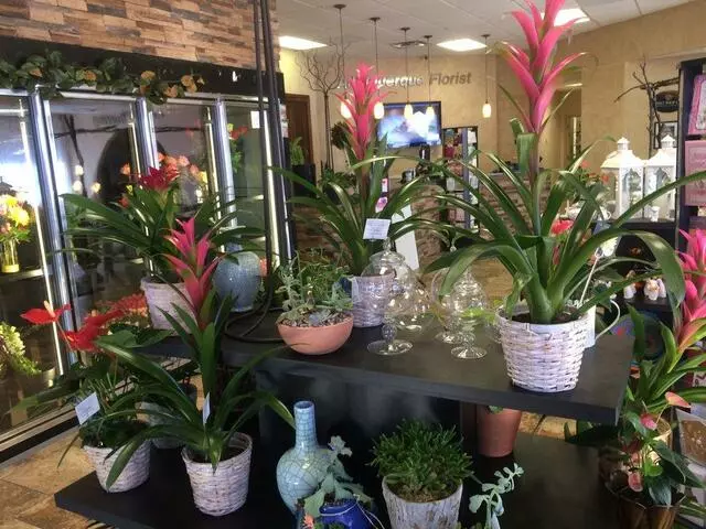 Aspire Floral