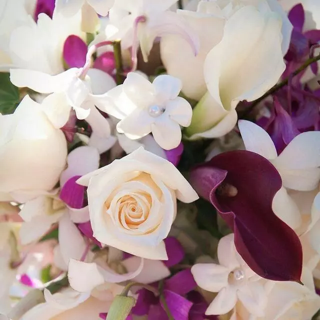 Aspire Floral