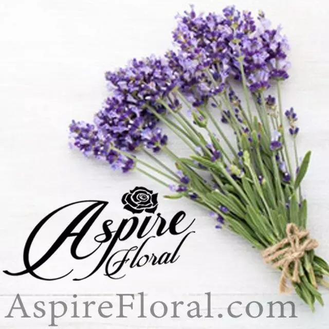 Aspire Floral