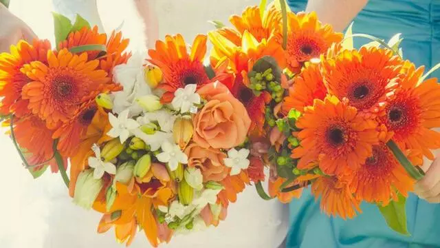 Aspire Floral