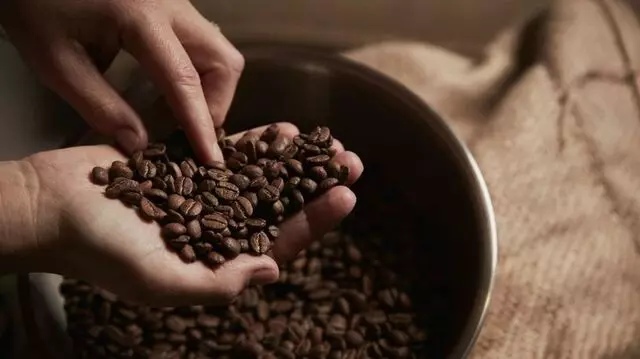 The Bean Counter