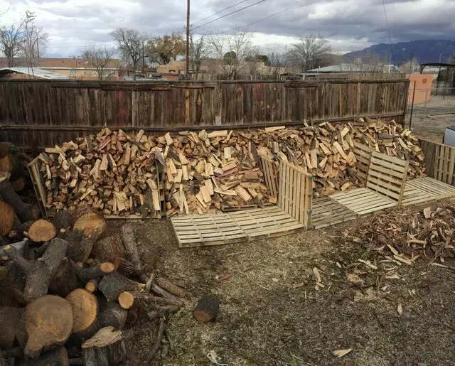 American Tree Services