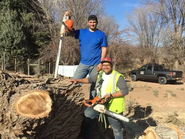 American Tree Services
