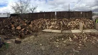 American Tree Services