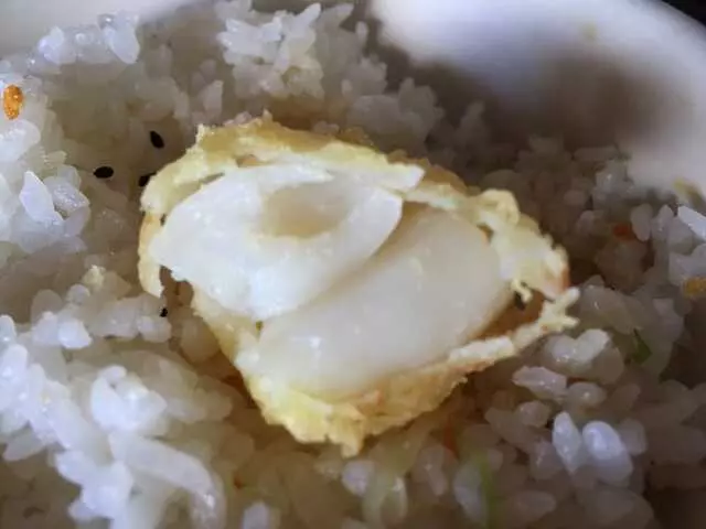 Magokoro