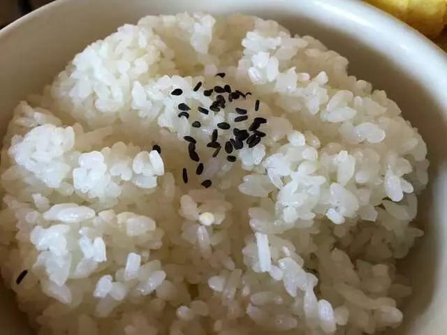 Magokoro
