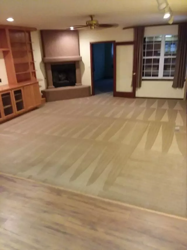 Albuquerque Steamaway Carpet Cleaning