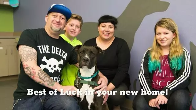 Animal Humane New Mexico