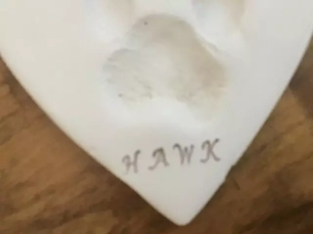 Albuquerque Pet Memorial Service