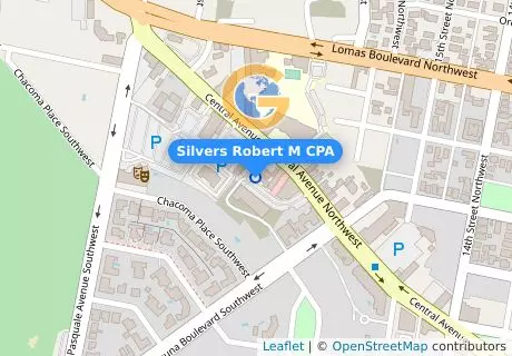 Silvers Robert M CPA