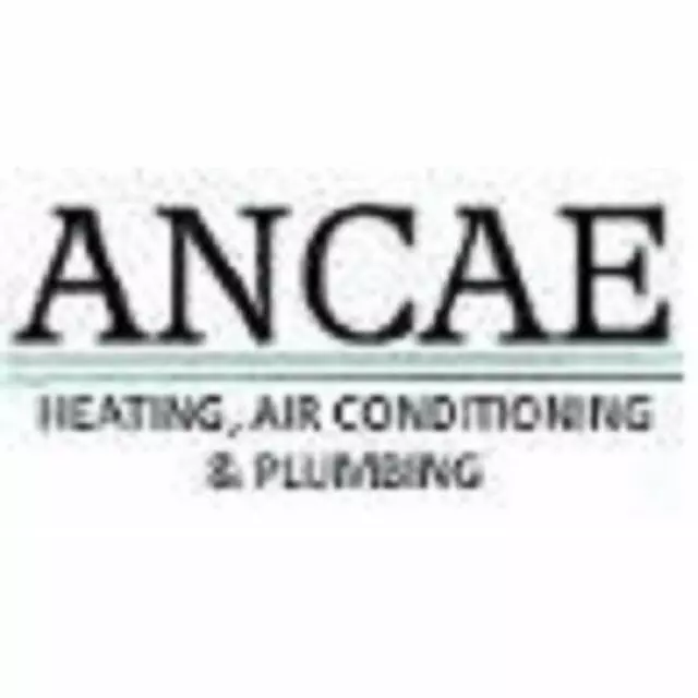 Ancae