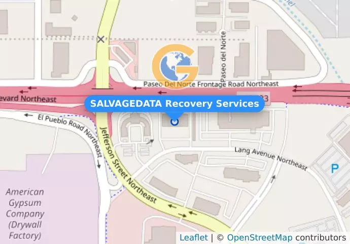 SALVAGEDATA Recovery Services