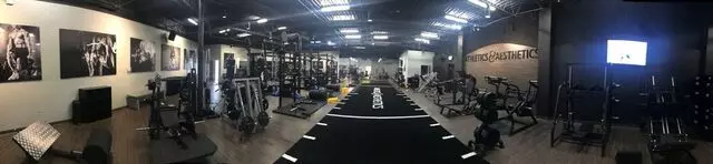 Athletics and Aesthetics