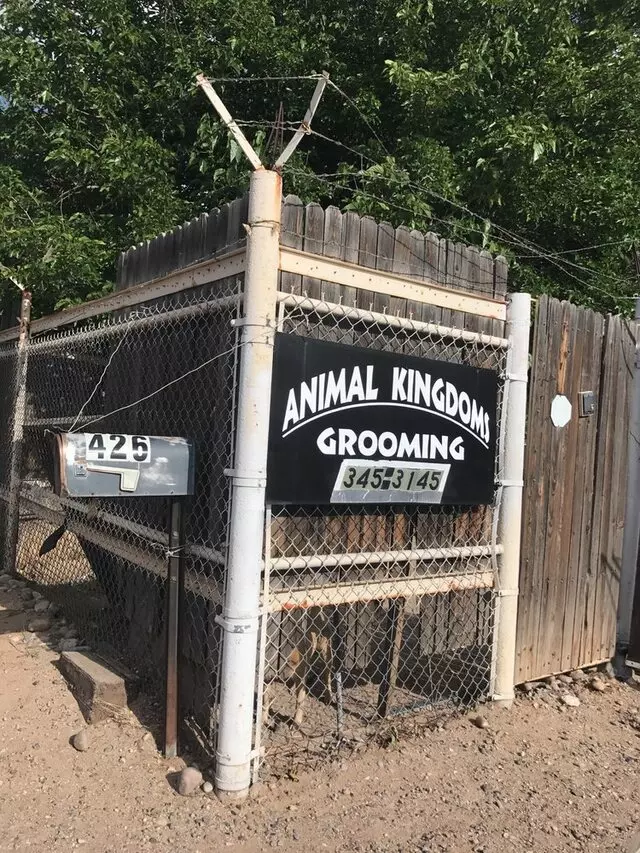 Animal Kingdom’s Grooming