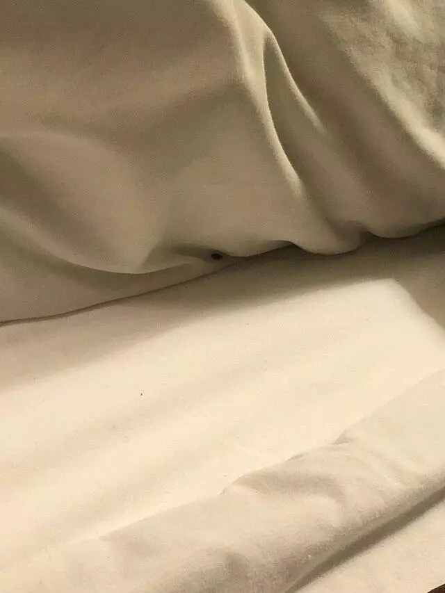 Americas Best Value Inn - Midtown Albuquerque