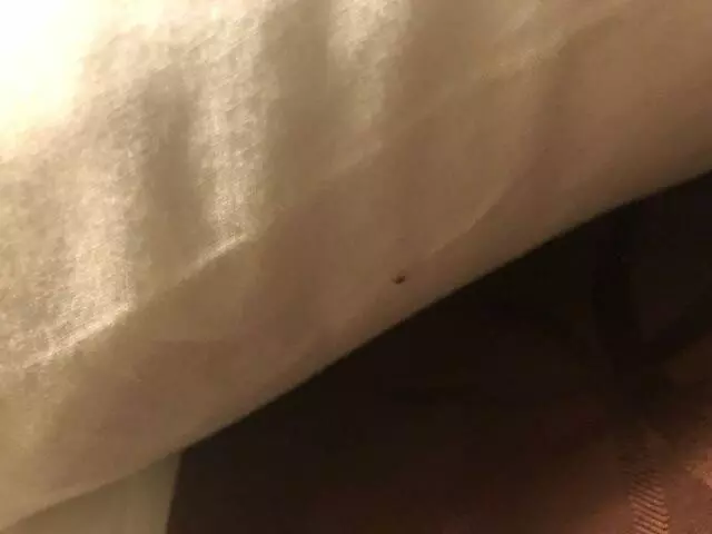 Americas Best Value Inn - Midtown Albuquerque