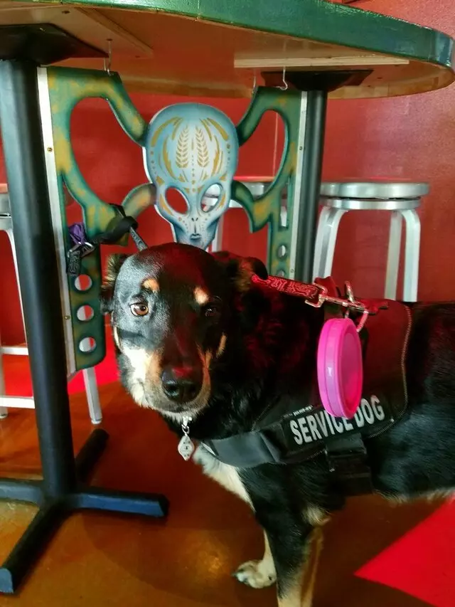 Alien Brew Pub