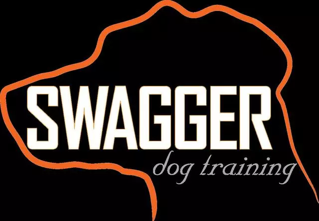 Swagger Dog Training