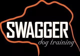 Swagger Dog Training
